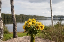 Myllymökin terassilla