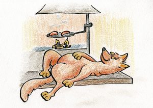 Koiraystävällinen lomailu