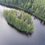 Manunsaari