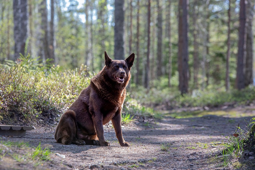 rantala_manunsaari-7914