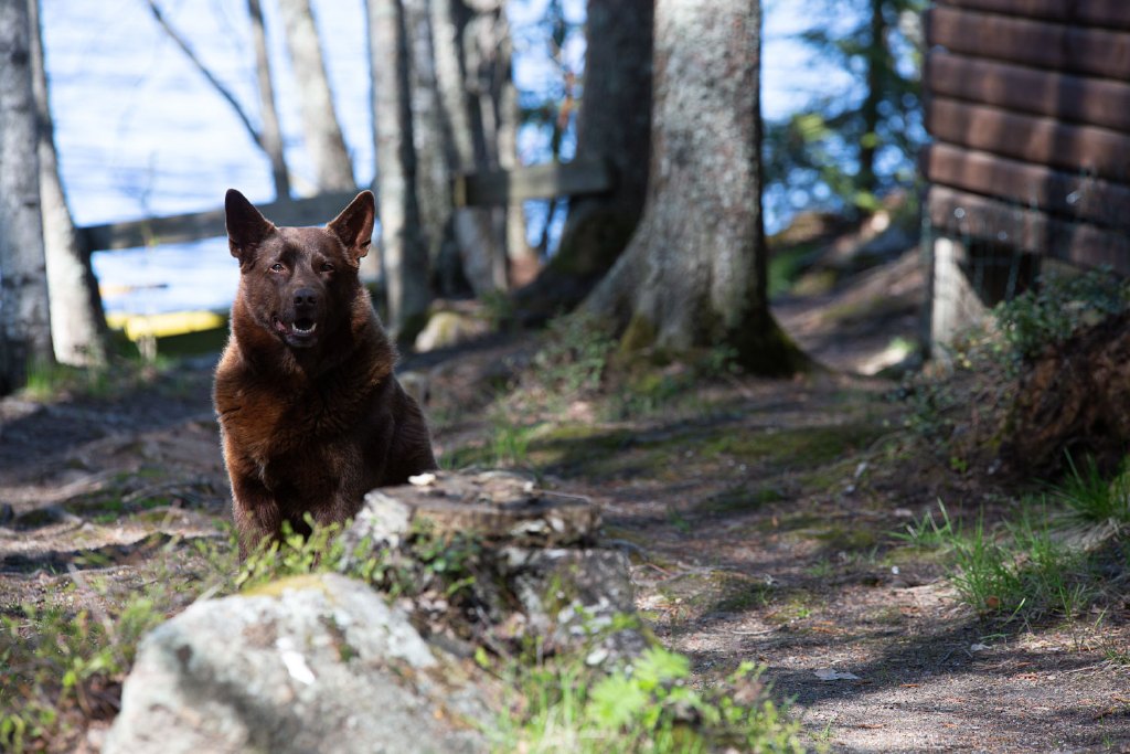 rantala_manunsaari-7965
