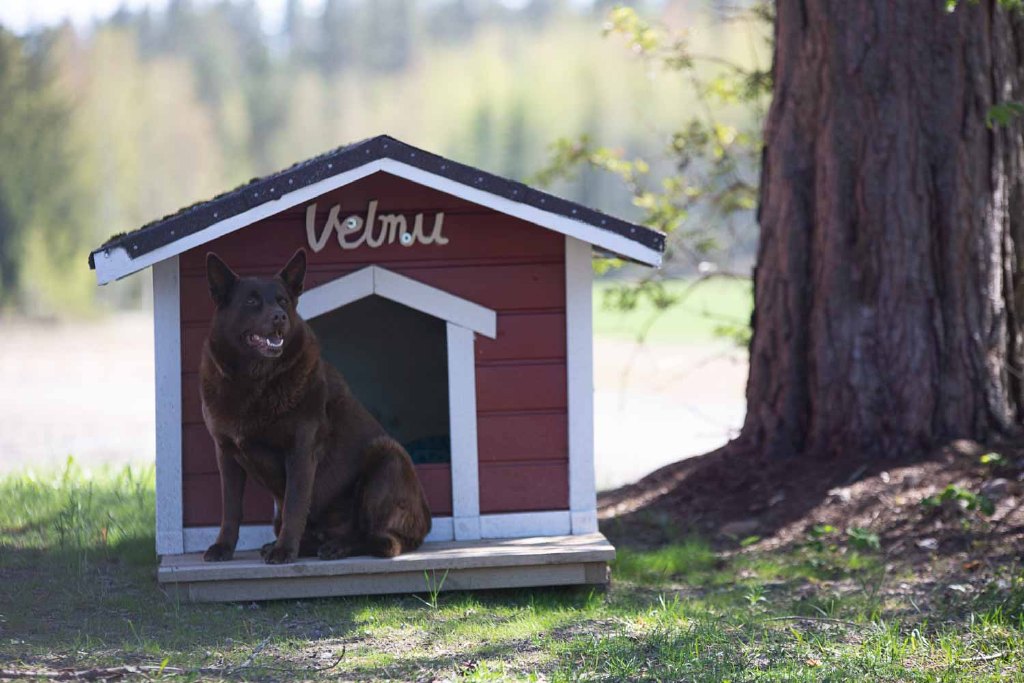 Velmun mökki