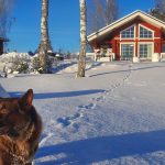 Myllymökki