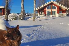 Myllymökki