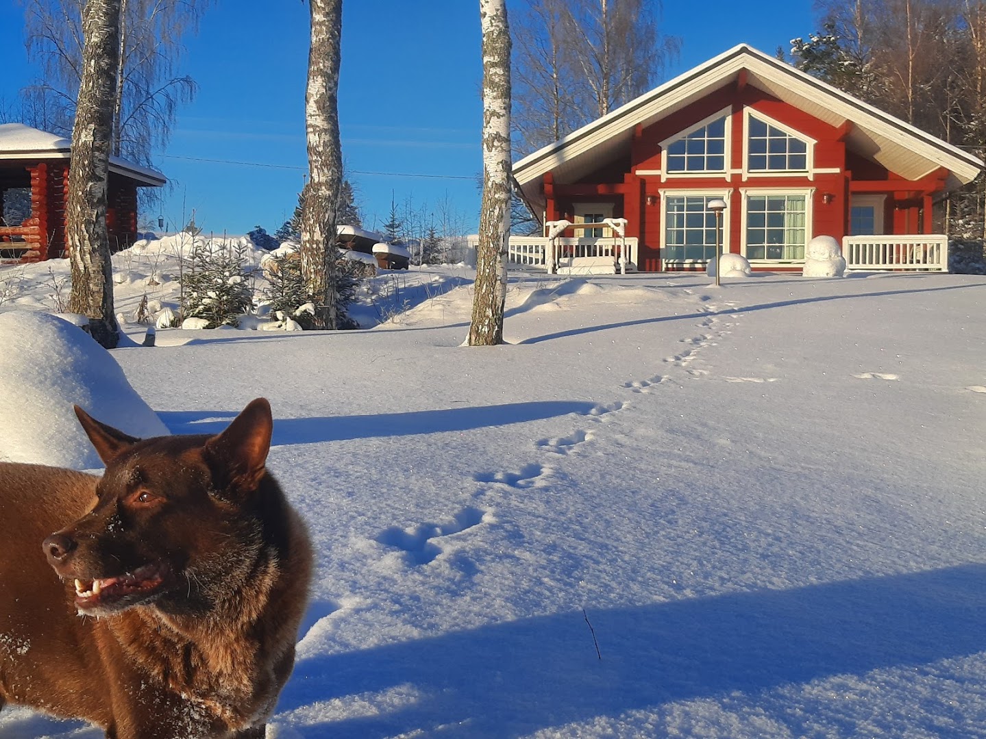 Myllymökki talvi3
